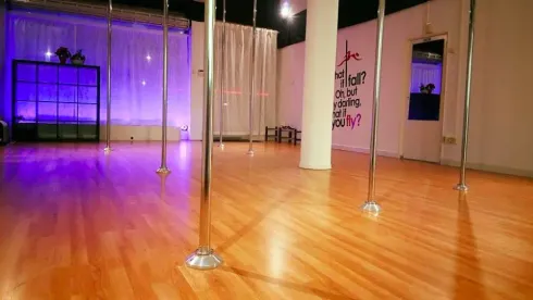 Pole and Aerial Studio Hire