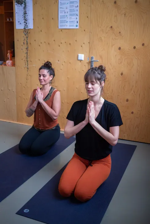 Hatha Yoga (online Zoom)