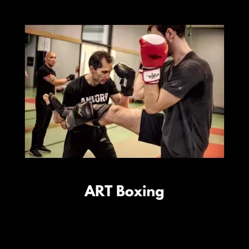 ART Boxing