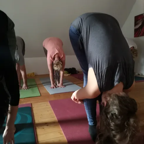 Yoga Videos 