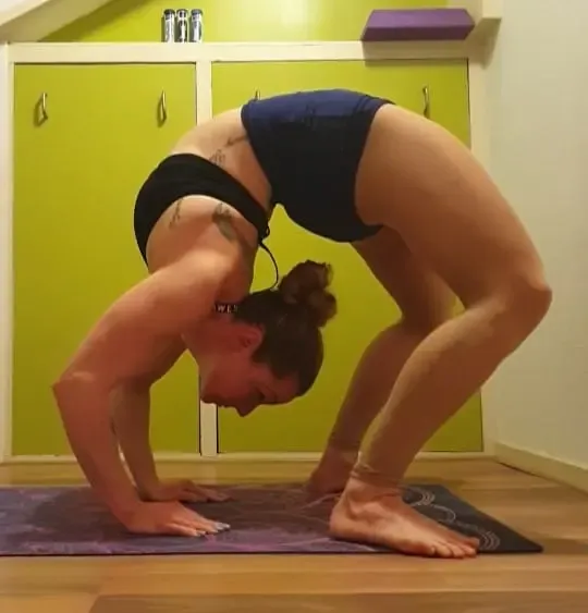 Flexibility ( All Levels)